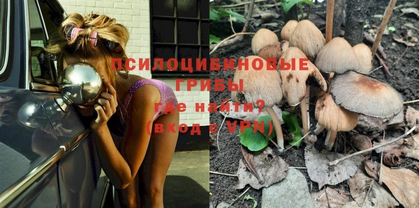 MDMA Богородицк