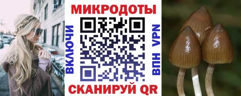 Псилоцибиновые грибы Magic Shrooms  дарнет шоп  Выборг 
